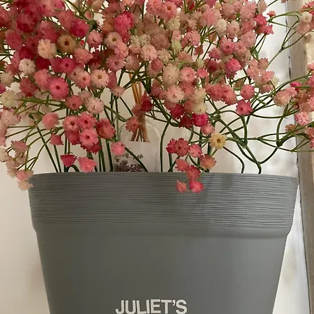 Juliet's דירה *