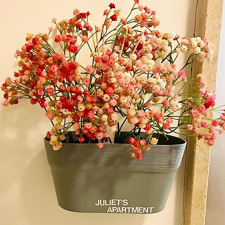 Juliet's Verona