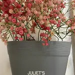 Juliet's Lejlighed *